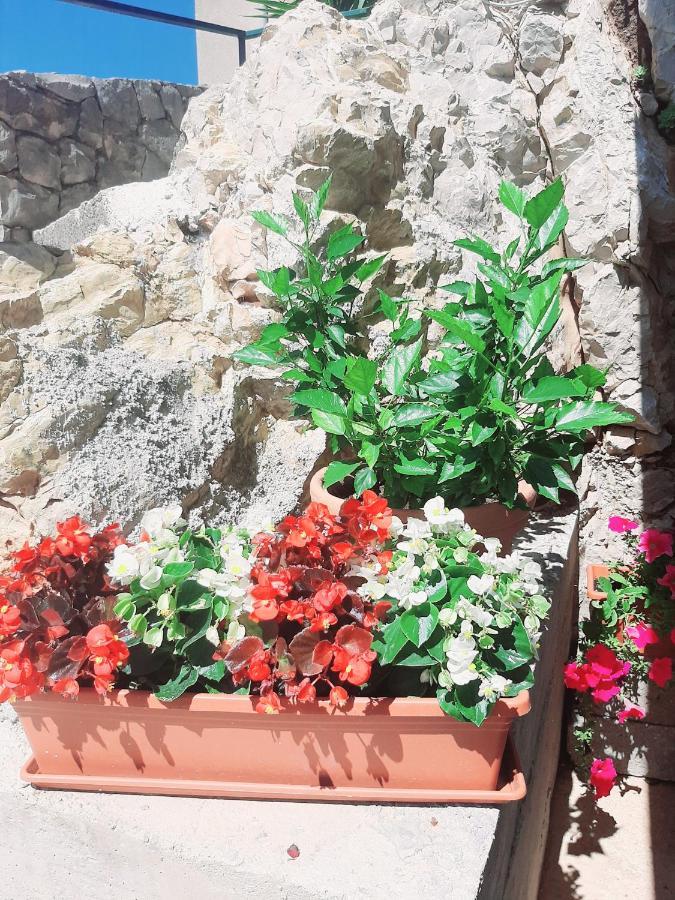 Apartments Tonkita with jacuzzi Makarska Zewnętrze zdjęcie